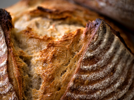 Considerations for Sourdough Bread with Roller Milled Flour