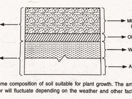 Soil: A scientific way of understanding the earth at our farms