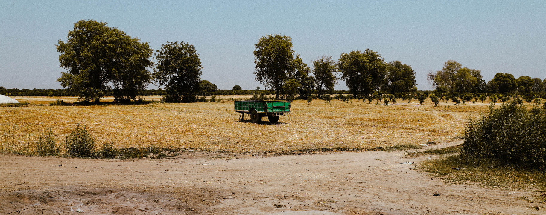  THREE ONE FARMS